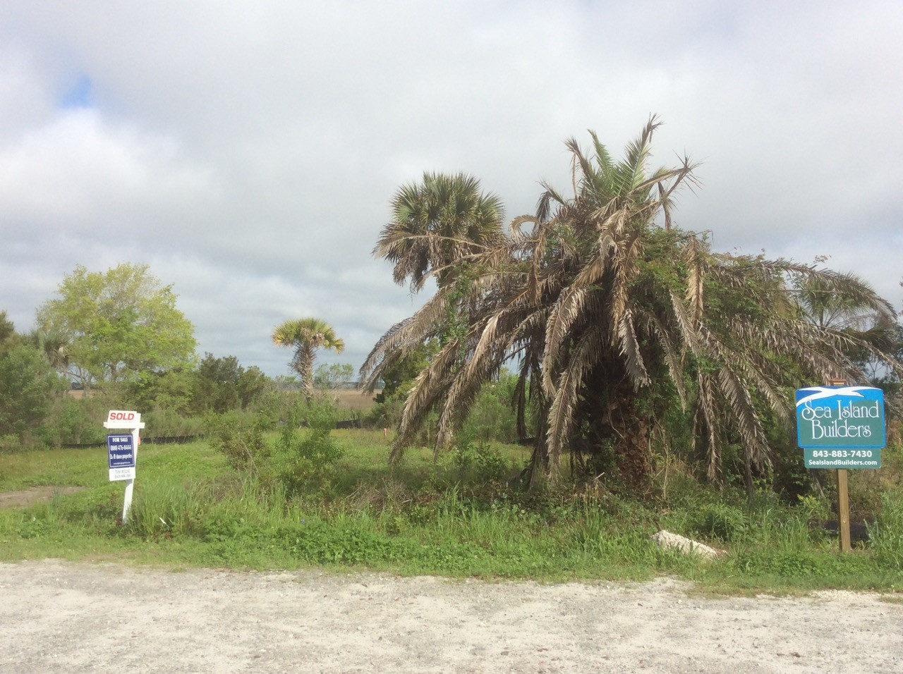 Undeveloped marsh-front homesite in Sullivan's Island, SC, with native palms and Lowcountry marsh views before a Sea Island Builders custom home